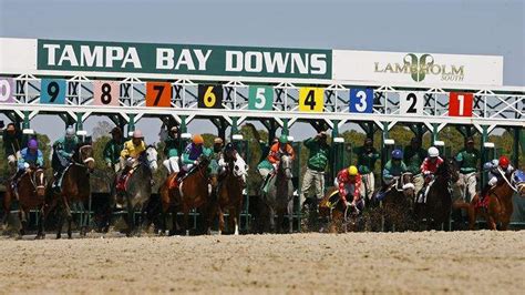 tampa bay downs race track entries